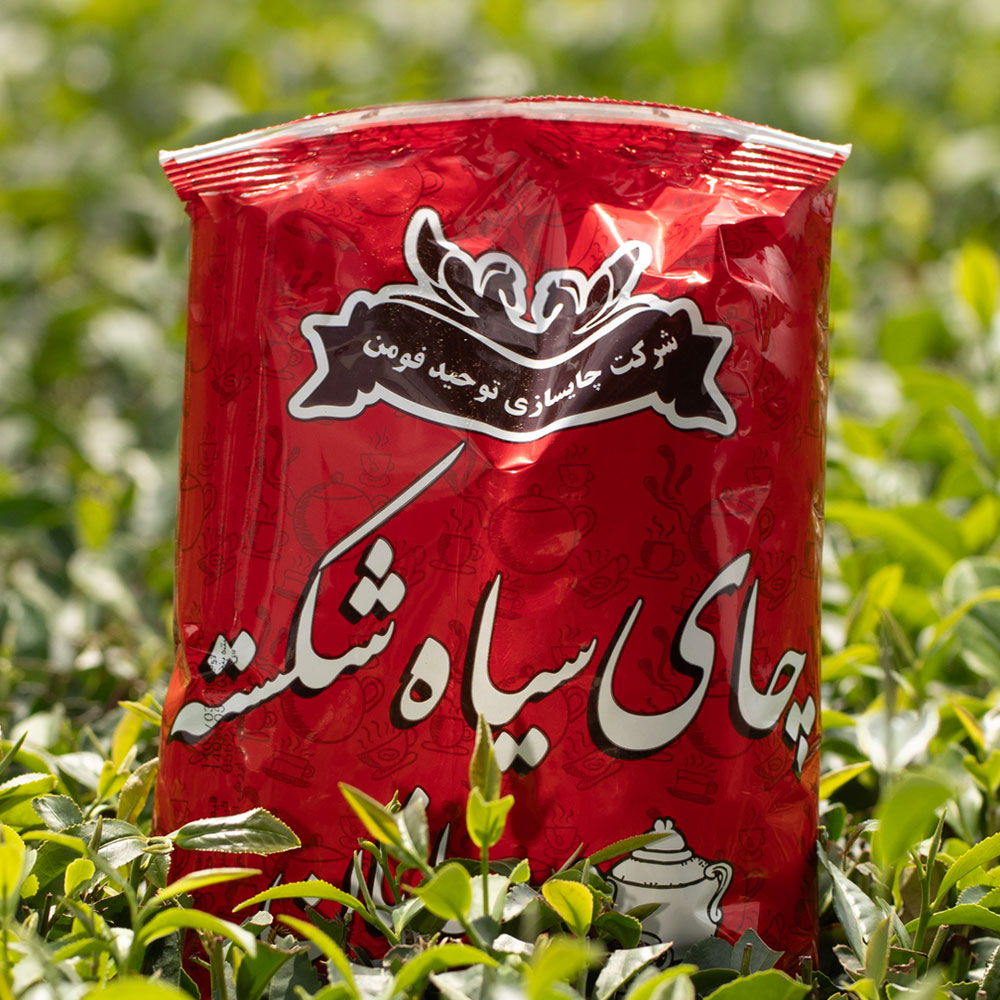 چای شکسته یک